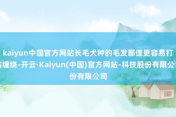 kaiyun中国官方网站长毛犬种的毛发鄙俚更容易打结缠绕-开云·Kaiyun(中国)官方网站-科技股份有限公司