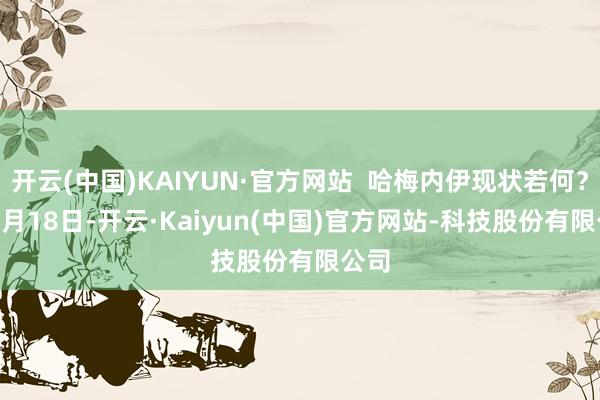 开云(中国)KAIYUN·官方网站  哈梅内伊现状若何？  11月18日-开云·Kaiyun(中国)官方网站-科技股份有限公司