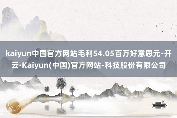 kaiyun中国官方网站毛利54.05百万好意思元-开云·Kaiyun(中国)官方网站-科技股份有限公司