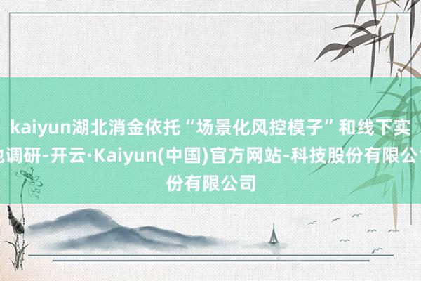 kaiyun湖北消金依托“场景化风控模子”和线下实地调研-开云·Kaiyun(中国)官方网站-科技股份有限公司