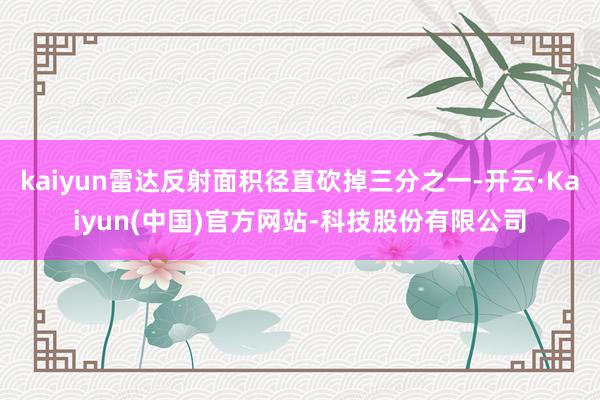 kaiyun雷达反射面积径直砍掉三分之一-开云·Kaiyun(中国)官方网站-科技股份有限公司