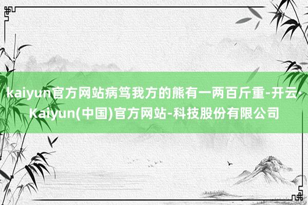 kaiyun官方网站病笃我方的熊有一两百斤重-开云·Kaiyun(中国)官方网站-科技股份有限公司