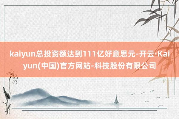 kaiyun总投资额达到111亿好意思元-开云·Kaiyun(中国)官方网站-科技股份有限公司